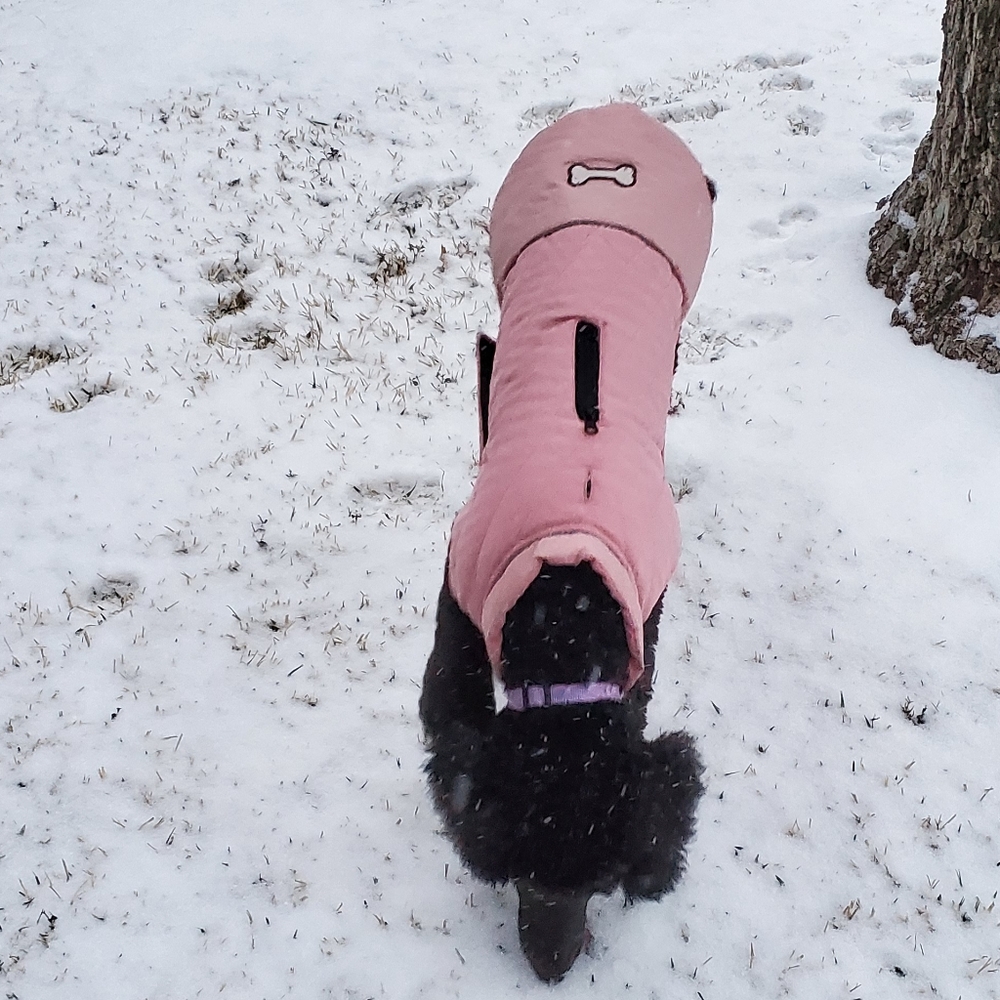 Reversible Waterproof Dog Jacket XL
